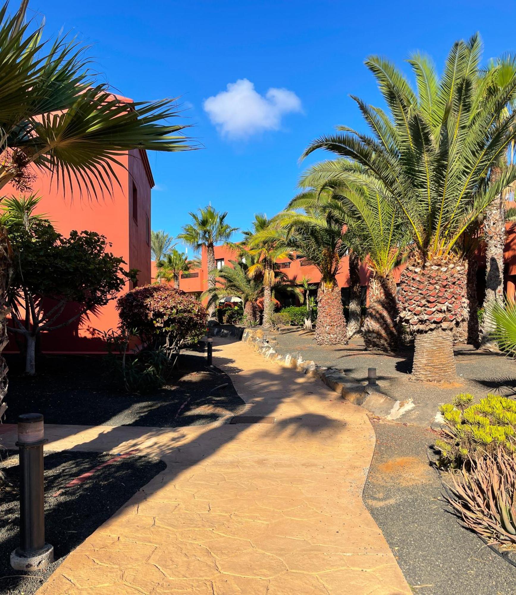 Oasis Tamarindo By Best Holidays Fuerteventura Corralejo Exterior foto