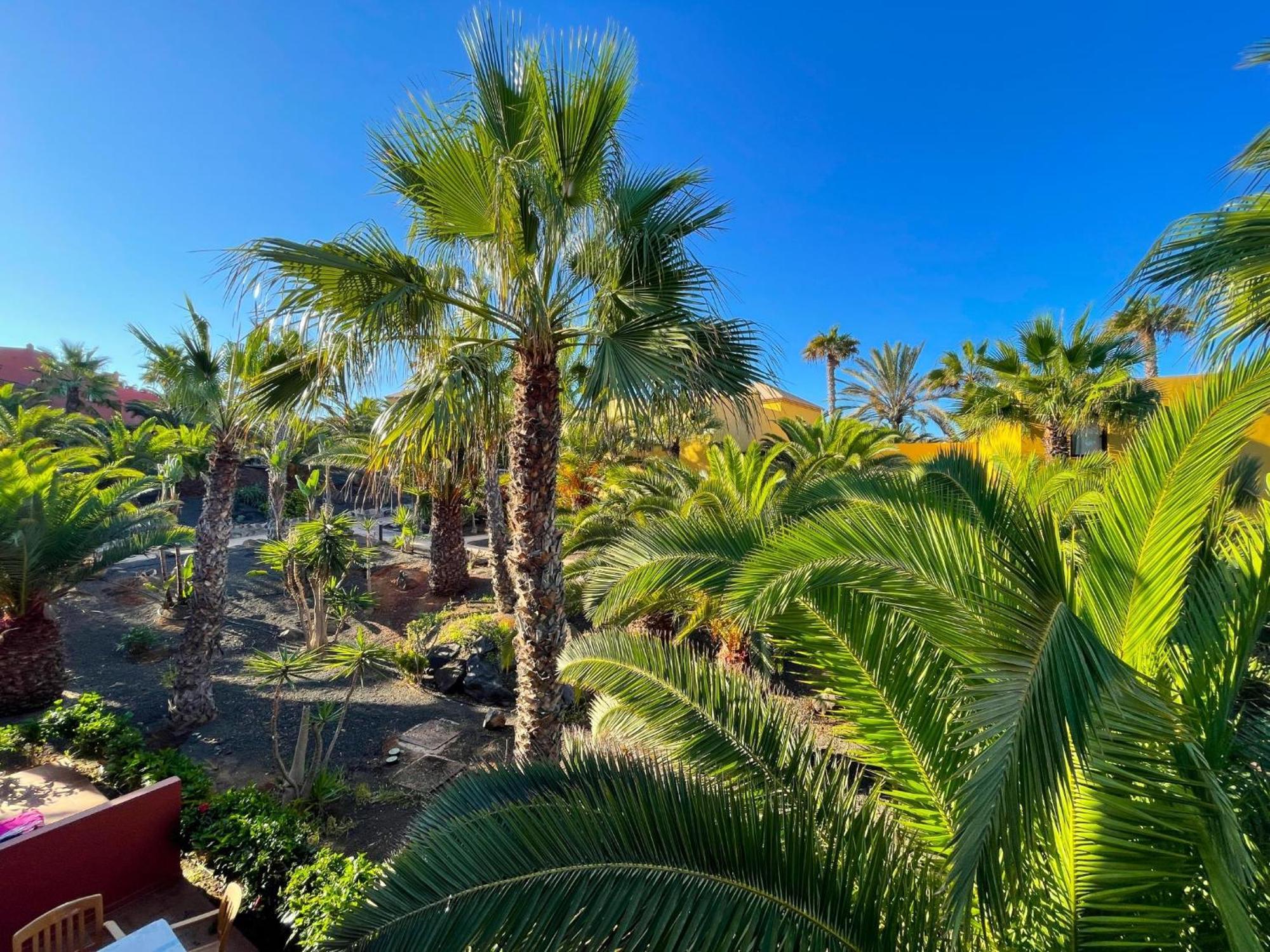 Oasis Tamarindo By Best Holidays Fuerteventura Corralejo Habitación foto