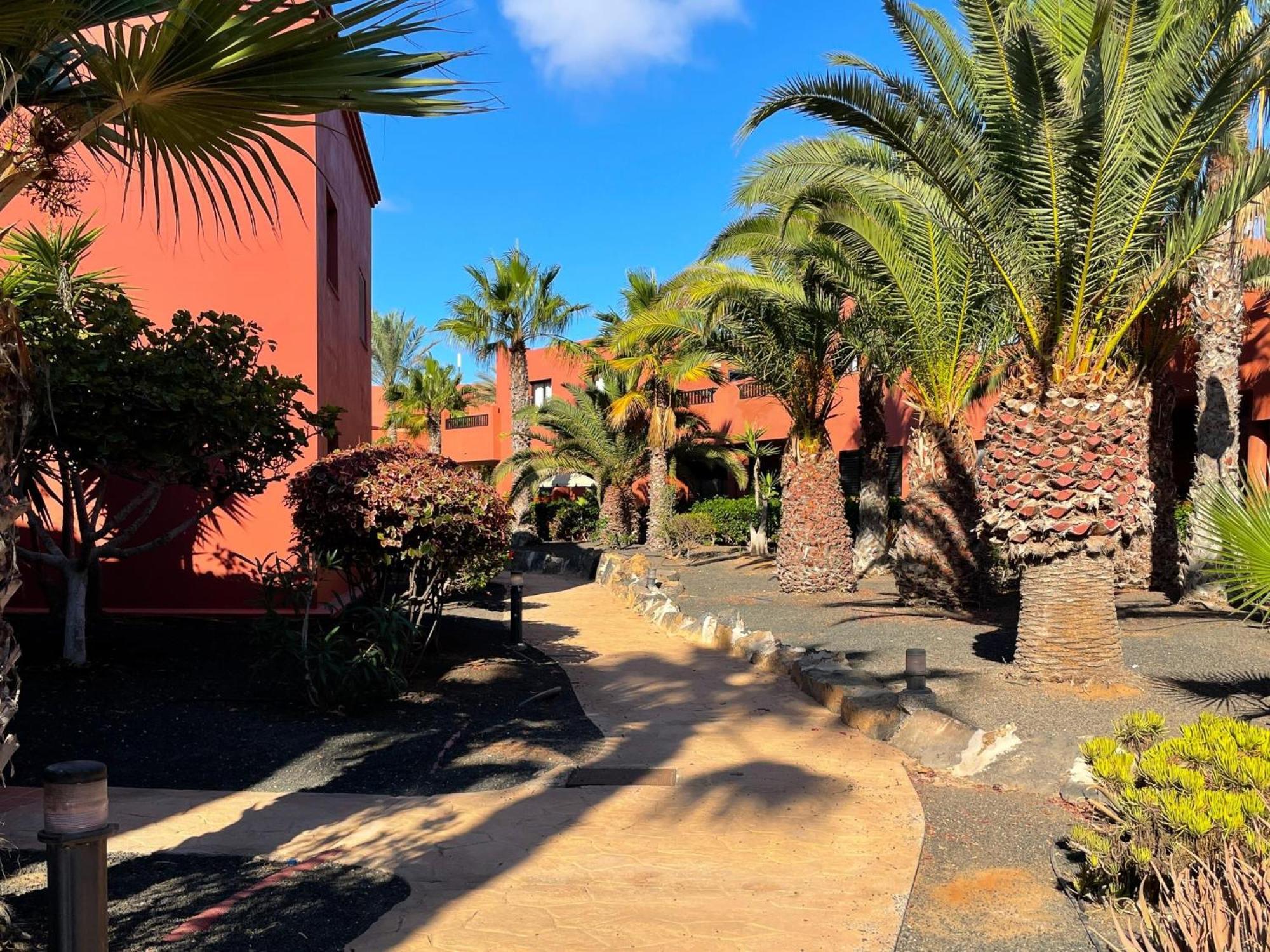 Oasis Tamarindo By Best Holidays Fuerteventura Corralejo Habitación foto