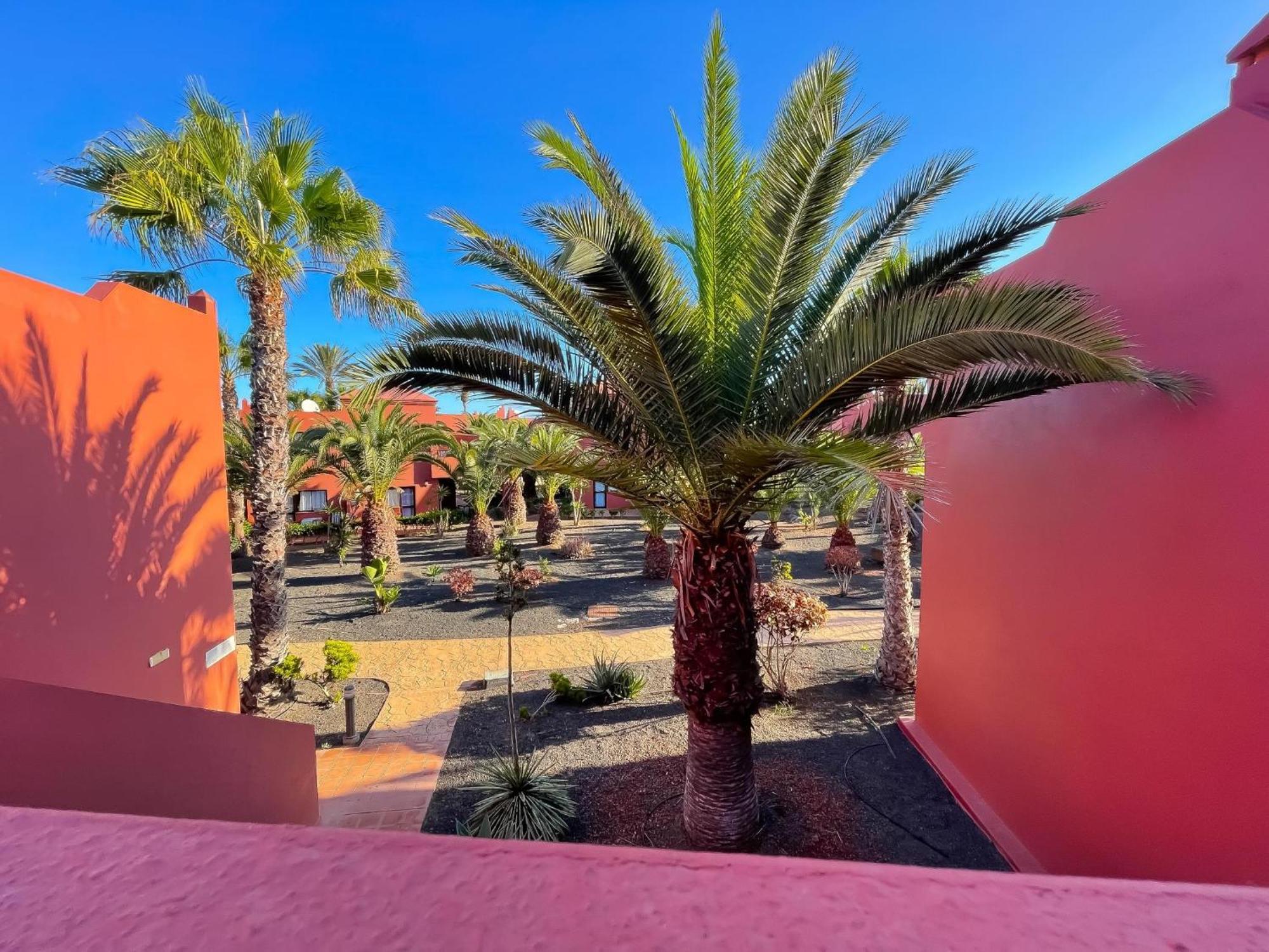 Oasis Tamarindo By Best Holidays Fuerteventura Corralejo Habitación foto